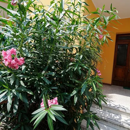 아파트 Colli & Terme 바탈리아 테르메