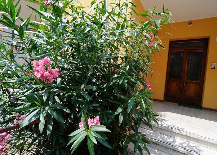 Lejlighed Colli & Terme Battaglia Terme
